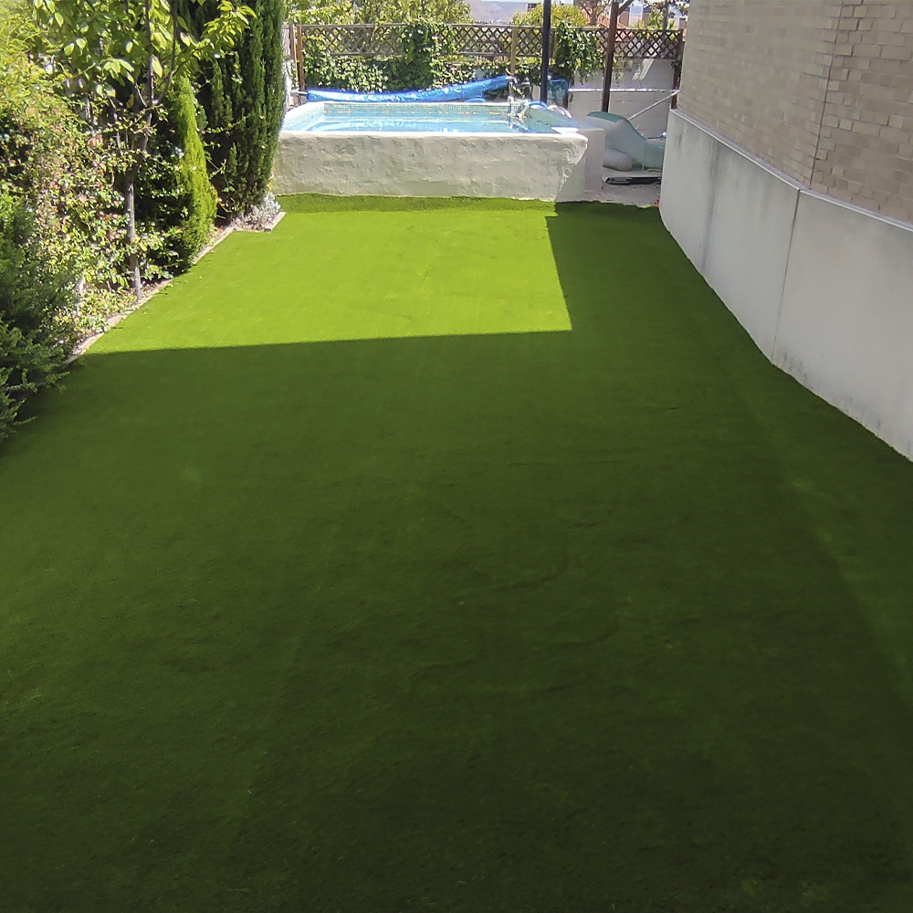 Edden Grass