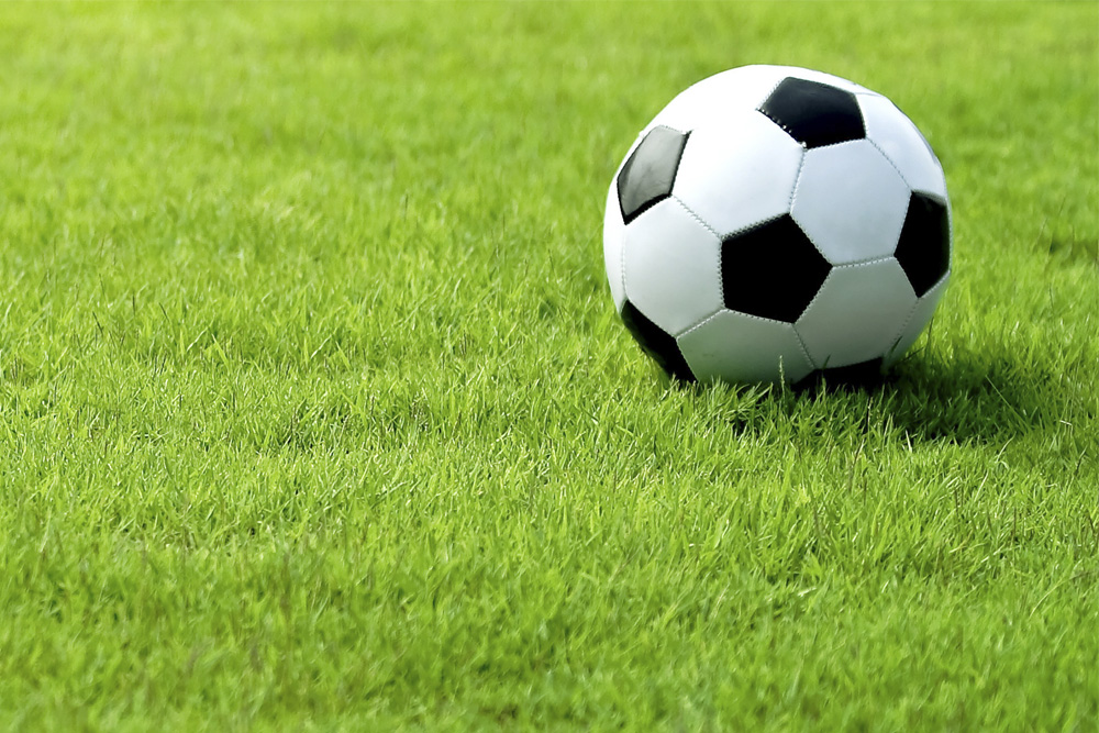 césped para campos de futbol